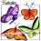 Butterflies Set Preview 2