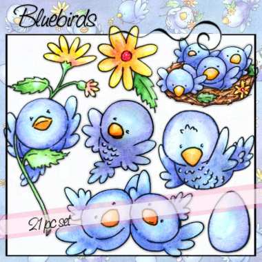 Bluebirds Set Preview 3