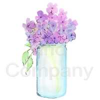 Sweet William Phlox In A Jar Preview