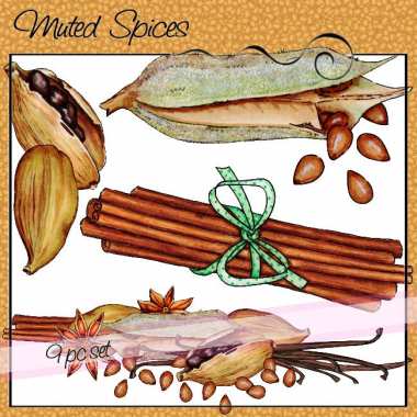 Muted Spices Preview 3