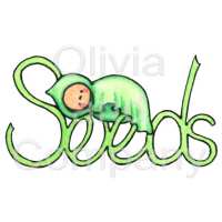 Baby Seeds Preview