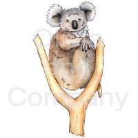 Koala Preview