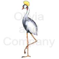 Crane Preview